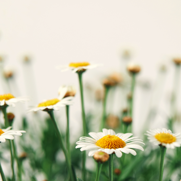 부식 지원 사례