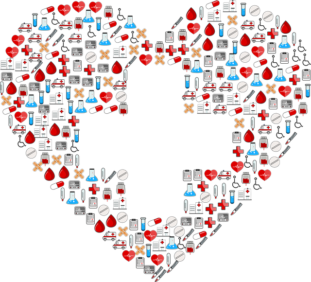 2019년 12월 의료비 지원 현황