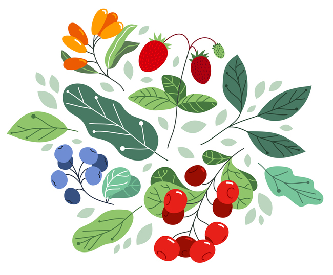 2021년 12월 부식지원 현황