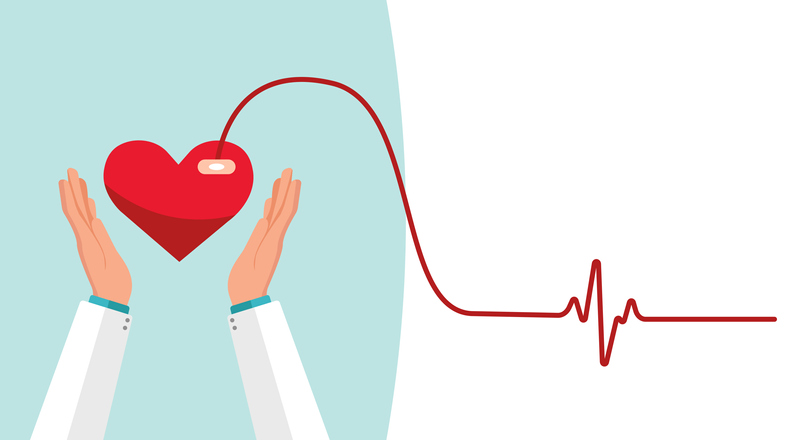 2023년 11월 의료비 지원 현황